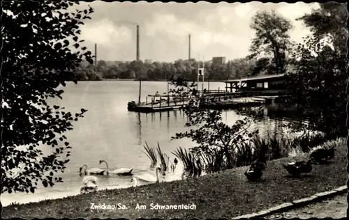 Ak Zwickau Sachsen, Blick auf den Schwanenteich, Steg