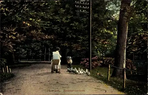 Ak Haarlem Nordholland Niederlande, Haarlemmerhont