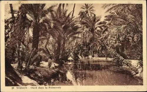 Ak Tozeur Tunesien, Qued dans la Palmeraie
