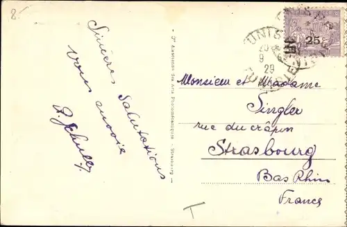 Ak Tozeur Tunesien, Chemin dans la Palmeraie