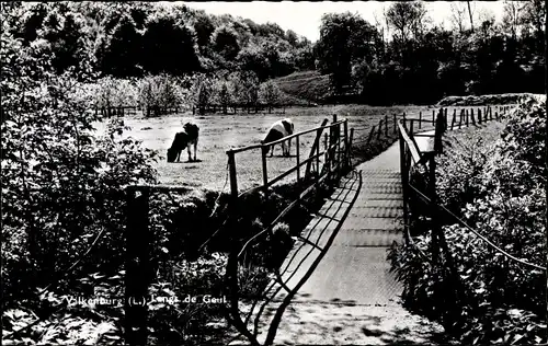 Ak Valkenburg Limburg Niederlande, Lengs de Geul, grasende Kühe, Brücke