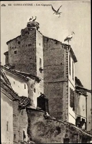 Ak Constantine Algerien, Les Cigognes