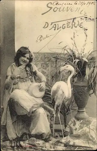 Ak Algerien, Frau, Flamingo