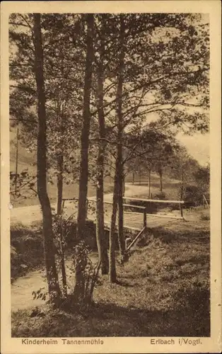 Ak Erlbach im Vogtland, Kinderheim Tannenmühle, Brücke, Bach