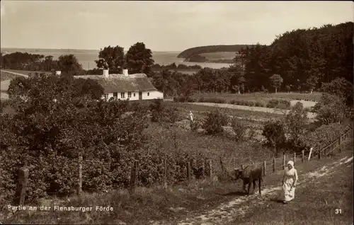 Ak Flensburg in Schleswig Holstein, Partie an der Flensburger Förde