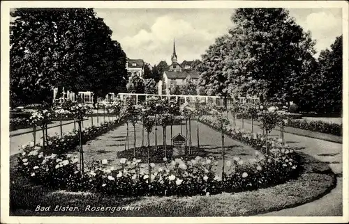 Ak Bad Elster im Vogtland, Rosengarten, Kirchturm