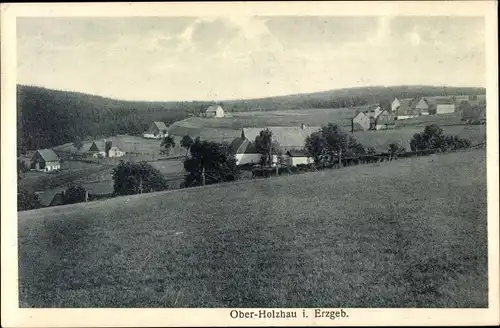 Ak Ober Holzhau Rechenberg Bienenmühle Erzgebirge, Panorama