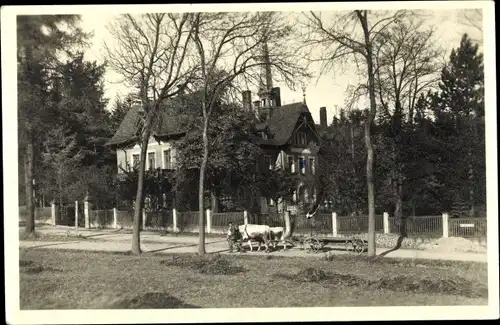 Ak Grünhain Beierfeld im Erzgebirge Sachsen, Genesungsheim I der Sozialversicherung, Ochsenkutsche