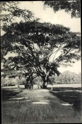 Ak Badulla Ceylon Sri Lanka, Race Course Road