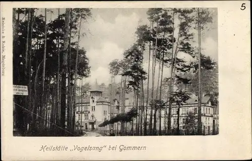 Ak Gommern Sachsen Anhalt, Heilstätte Vogelsang
