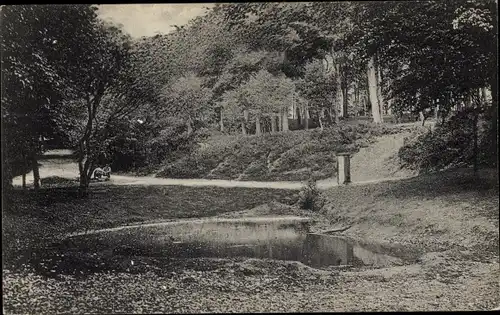 Ak Hoog Soeren Gelderland Niederlande, Pomphul
