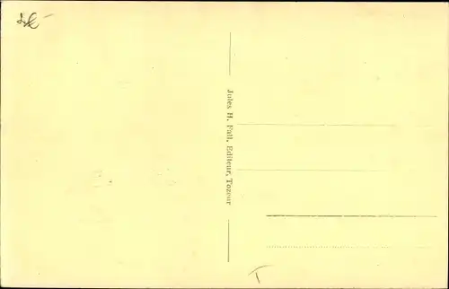 Ak Tozeur Tunesien, Un Qued dans la Palmeraie