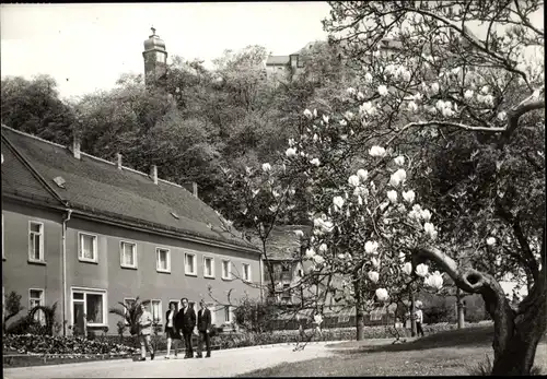 Ak Greiz im Vogtland, Eingang zum Leninpark