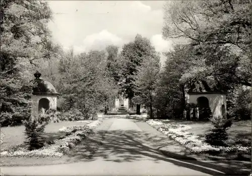 Ak Meuselwitz in Thüringen, Leninpark