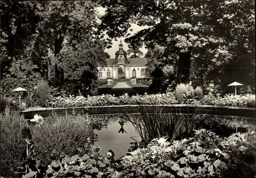 Ak Meuselwitz in Thüringen, Lenin-Park, Teich