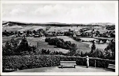 Ak Ebersbach in der Oberlausitz, Panorama, Blick von der Humboldtbaude