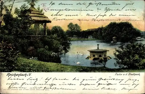 Ak Reichenbach im Vogtland, Partie am Stadtpark, Schwäne, Teich