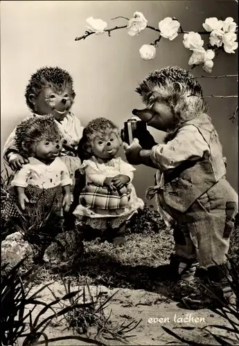 Ak Mecki der Igel, Bitte recht freundlich, Igelfamilie, Familienfoto, Blumen, Fotoapparat