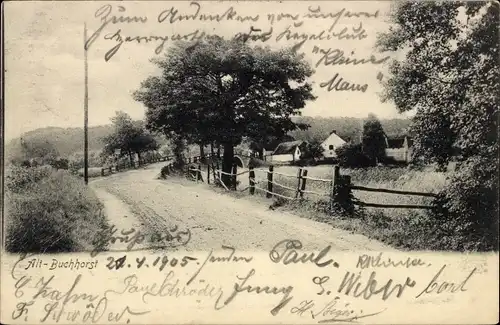 Ak Alt Buchhorst Grünheide in der Mark, Straßenpartie