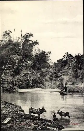 Ak Ceylon Sri Lanka, River Scene