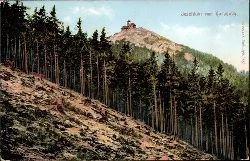 Ak Ještěd Jeschken Region Reichenberg, Blick vom Kammweg, Wald