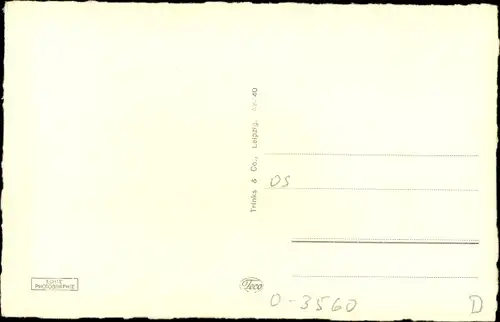 Ak Salzwedel in der Altmark, Schulenburg-Park, Marienkirche