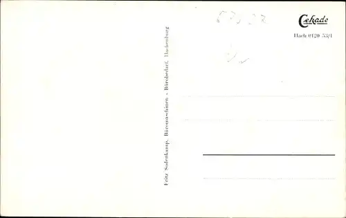 Ak Hachenburg im Westerwald, Ortsansicht