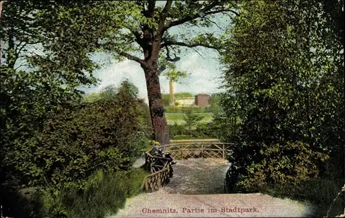 Ak Chemnitz in Sachsen, Partie am Stadtpark