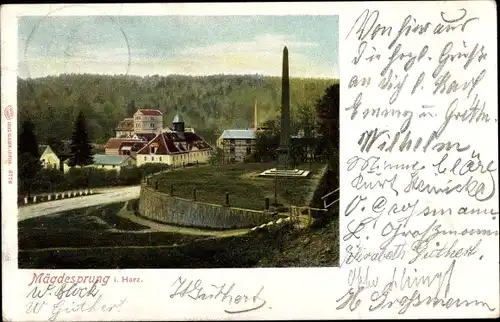 Ak Mägdesprung Harzgerode am Harz, Teilansicht