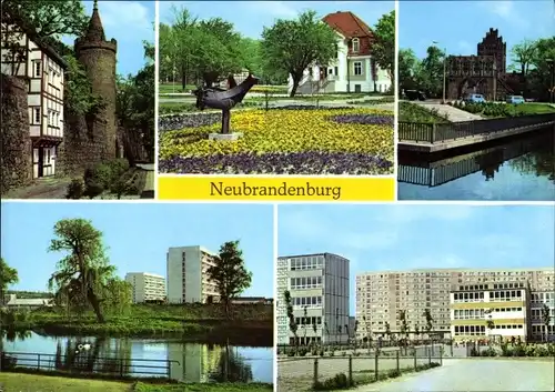 Ak Neubrandenburg in Mecklenburg, Wiekhaus und Mönchenturm, Im Stadtpark, Treptower Tor, Oberschule