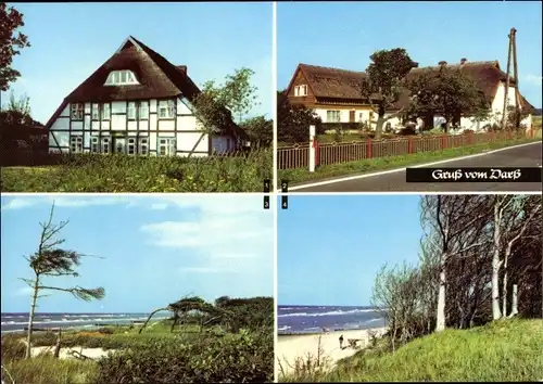 Ak Wieck Darss, Born, Weststrand, Häuser mit Reetdach, Meer