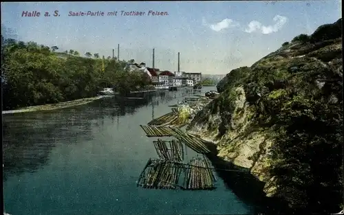 Ak Halle an der Saale, Flusspartie mit Trothaer Felsen, Baumstämme