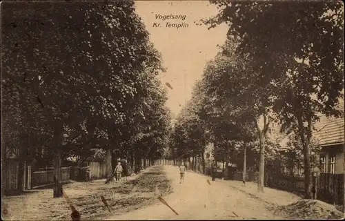 Ak Vogelsang Templin Zehdenick in der Mark, Straßenpartie