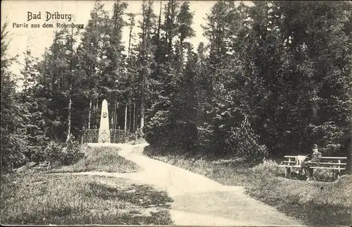 Ak Bad Driburg in Westfalen, Partie aus dem Rosenberg, Denkmal