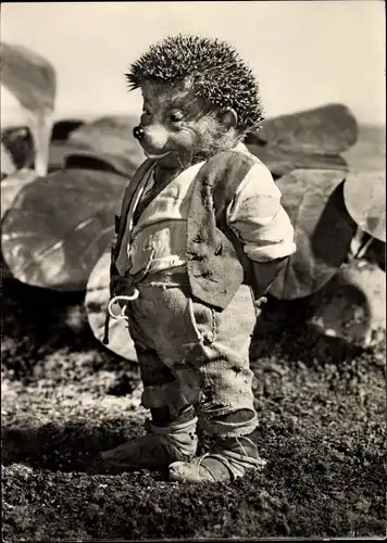 Ak Mecki der Igel, Mein Herz hat Heimweh