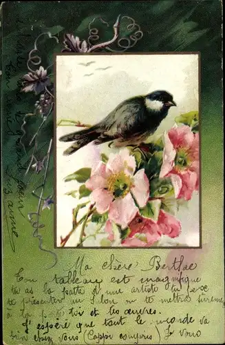 Litho Vogel auf Wildrosenzweig, Blüten