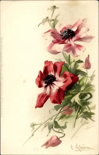 Künstler Litho Klein, Catharina, rote Blüten, Meissner & Buch 1047