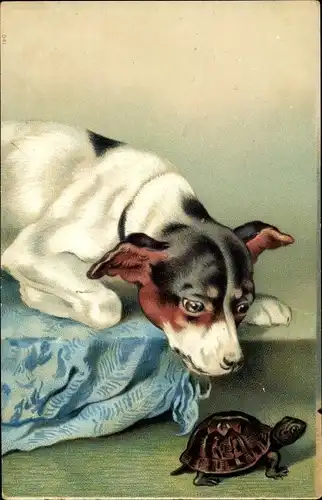 Präge Ak Neugieriger Hund und Schildkröte