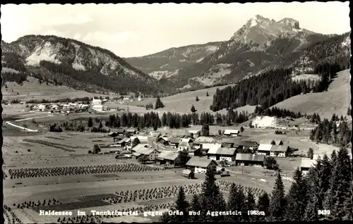 Ak Haldensee Grän in Tirol, Gesamtansicht, Aggenstein