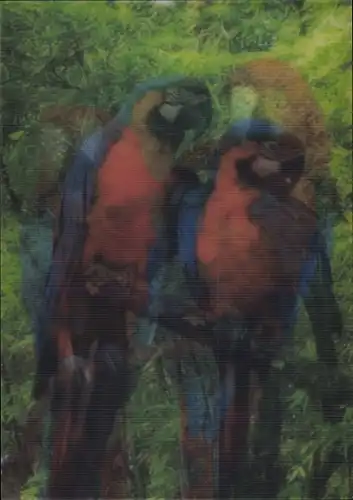 3D Ak Papageien auf einem Zweig, Ara
