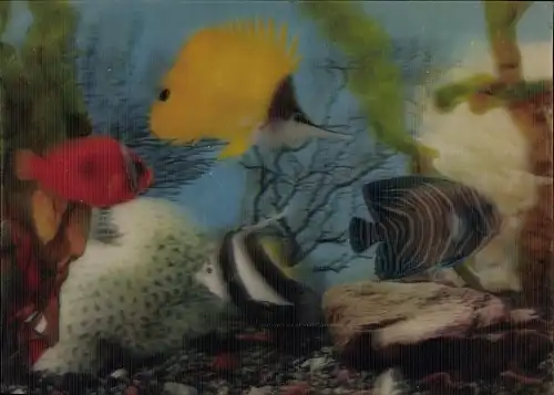 3 D Ak Tropische Fische im Aquarium