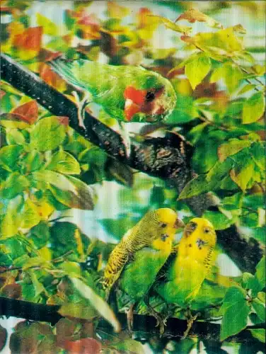 3 D Ak Wellensittiche und Papagei in einem Baum