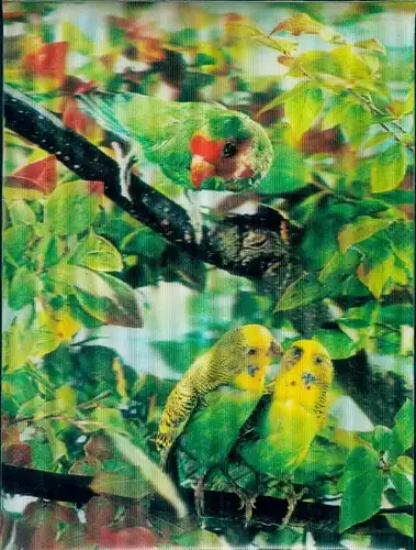 3 D Ak Wellensittiche und Papagei in einem Baum