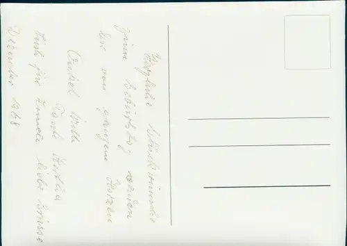 3 D Ak Wellensittiche und Papagei in einem Baum