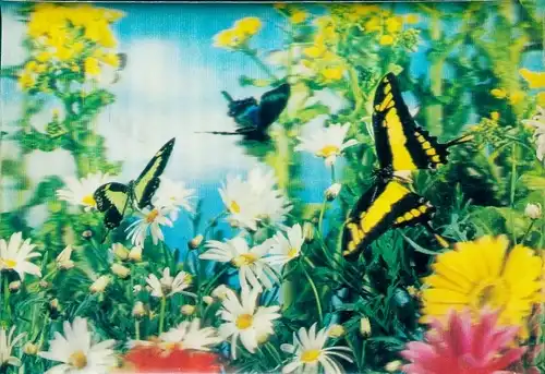 3 D Ak Schmetterlinge, Blumenwiese