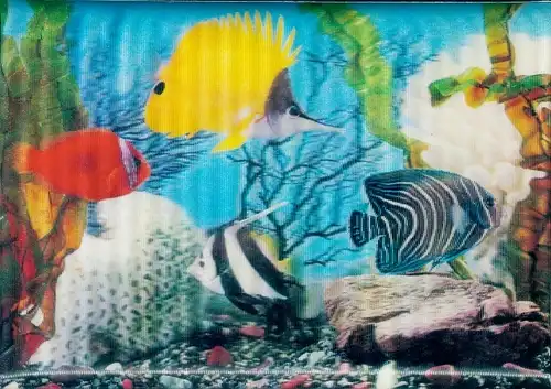 3-D Ak Verschiedenfarbige Fische im Aquarium, Steine, Korallen, Wasserpflanzen