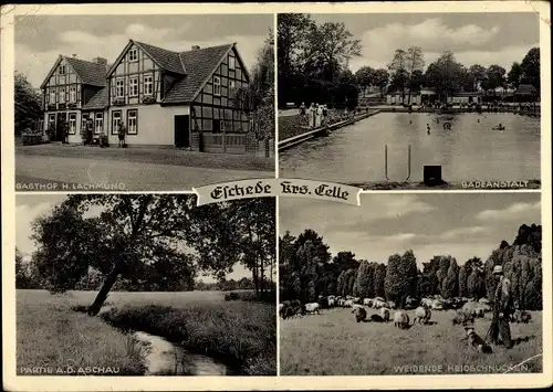 Ak Eschede in der Lüneburger Heide, Gasthof, Freibad, Aschaupartie, weidende Heidschnucken