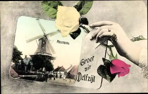 Ak Delfzijl Groningen, Molenberg, Rosen in Hand
