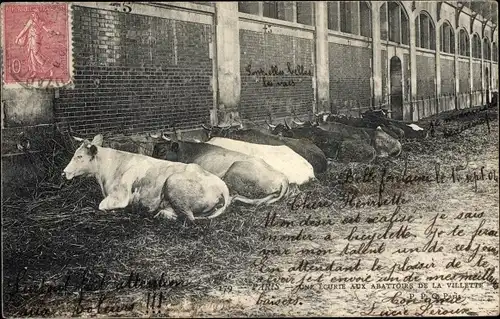 Ak Paris XIX, Les Abattoirs de la Villette, Ecurie