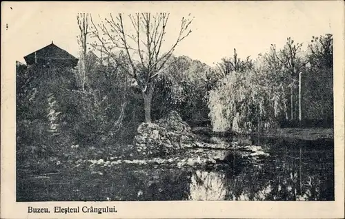 Ak Buzeu Buzău Busäu Rumänien, Elesteul Crangului